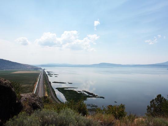 Klamath Basin surrounded by trees with blue skies and clouds above