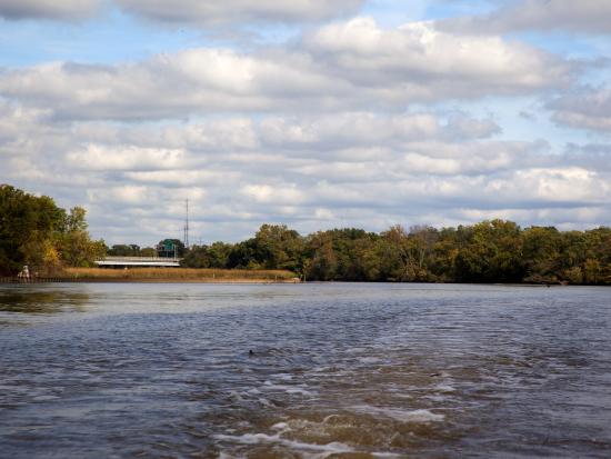 The Anacostia River with trees in the background
