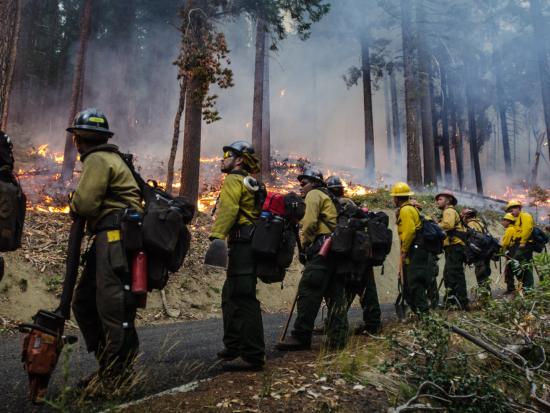 Geronimo Interagency Hotshot Crew, administered by the San Carlos Apache Tribal Natural Resources Program and sponsored by BIA. By Lance Cheung, USDA.