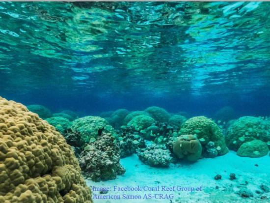 Coral-Reef-and-Natural-Resources photo