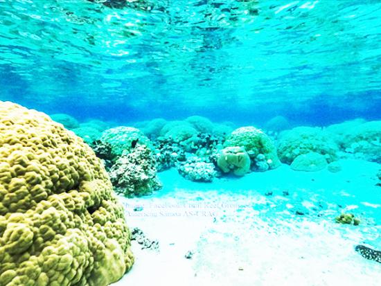 Coral Reef and Natural Resources program  photo