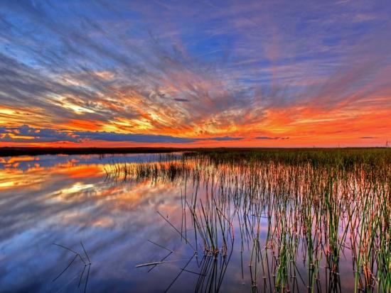 A wetland of open water and tall grass under a sunset sky.