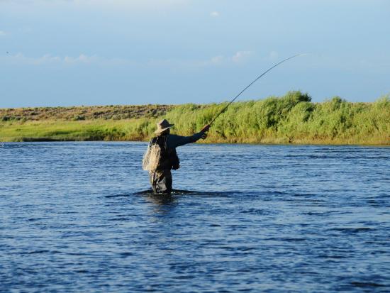 A person in a floppy hat and waders standing in a shallow river fly fishing under a clear blue sky.