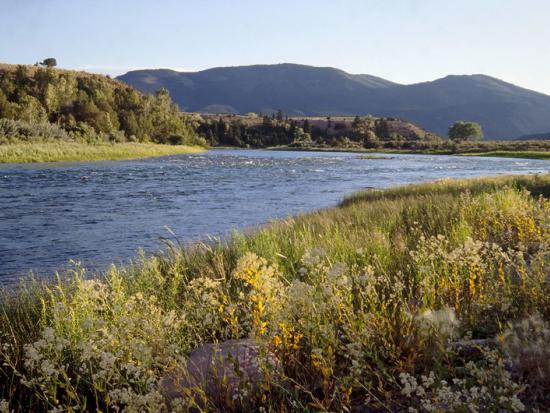 River with green vegetation along the banks, mountains in the background.