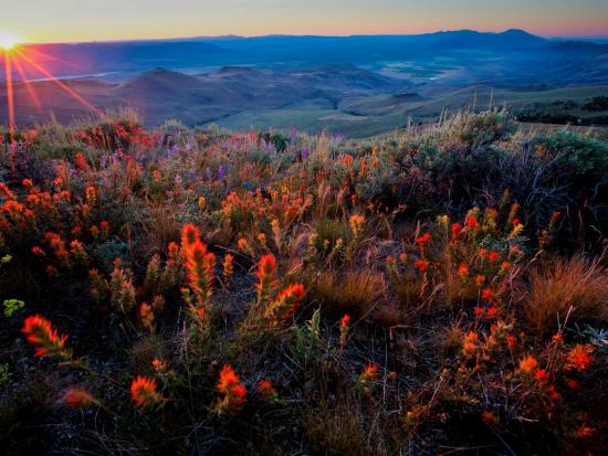 A sun sets over Pine Forest Range Wilderness in northern Nevada