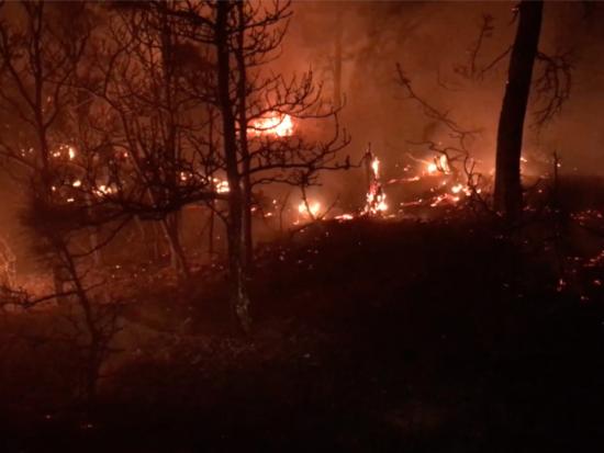 Fire burns through a forest at night