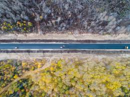 Road bordering burned forest, from above