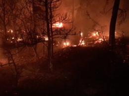 Night time scene of flames on a forest floor during a fire