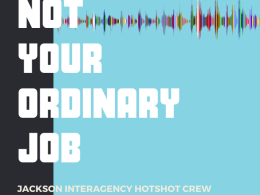 A graphic with the words Not Your Ordinary Job