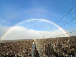 Rainbow visible in the difference with a camera perspective looking down the lenght of a fence.