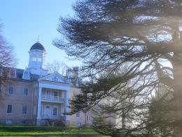 Hampton mansion and Cedar of Lebanon on a foggy morning.