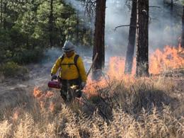 Firefighter in yellow gear conducting controlled burn in forested area with flames and smoke.