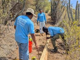 Youth working on trail improvements