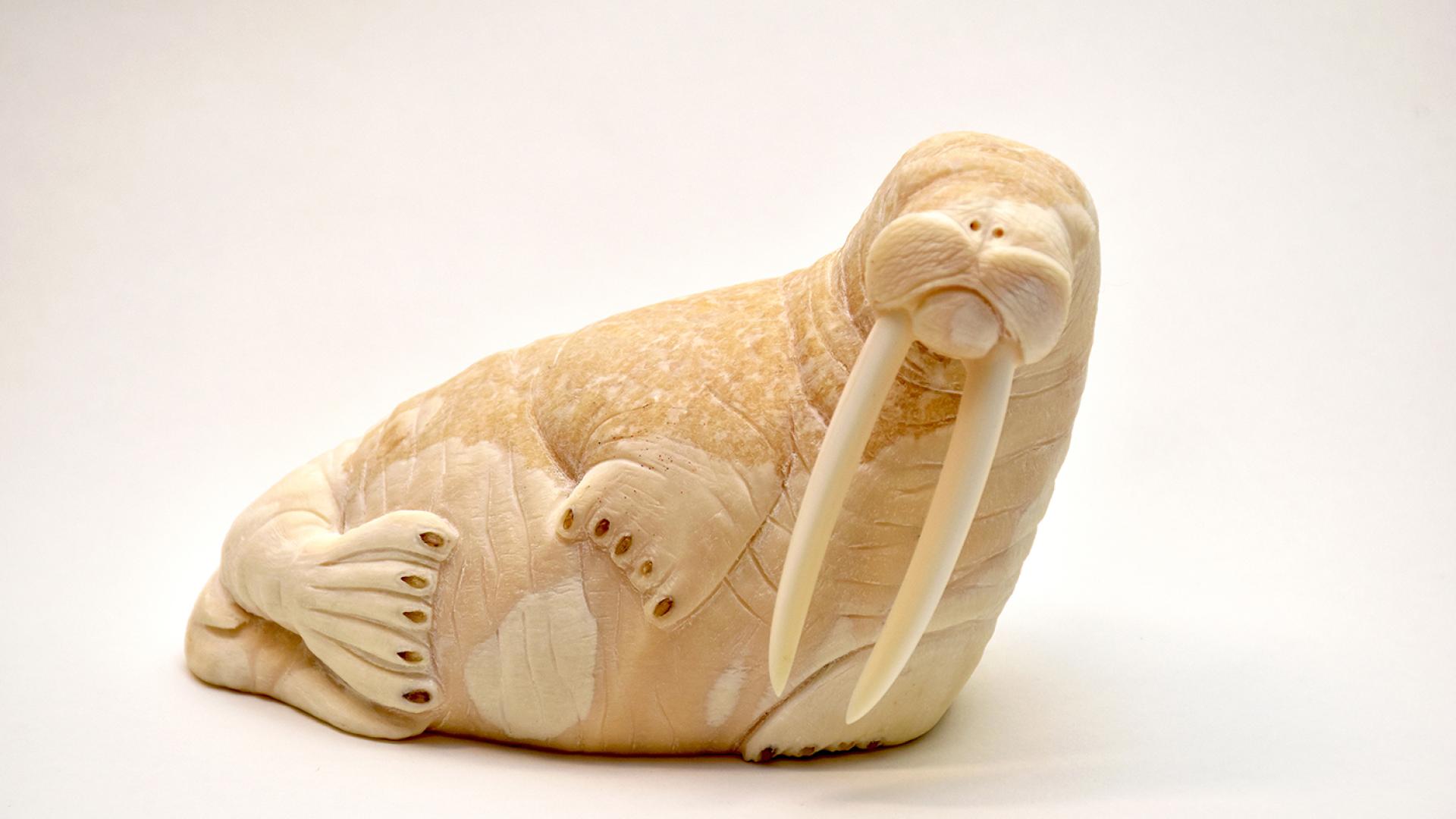 An ivory carving entitled "Ayveq (Walrus)" by Ben Pungowiyi, St. Lawrence Island Yupik © 2019