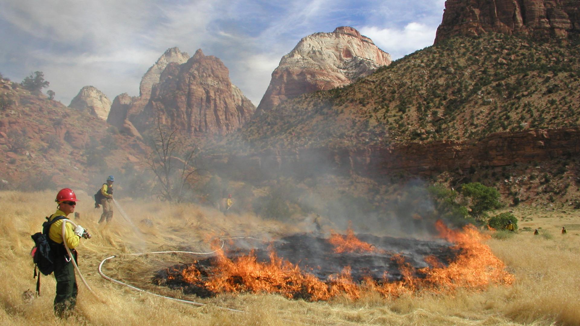 Firefighters holding hoses surround and keep watch on a small fire burning through dried grass in a desert canyon