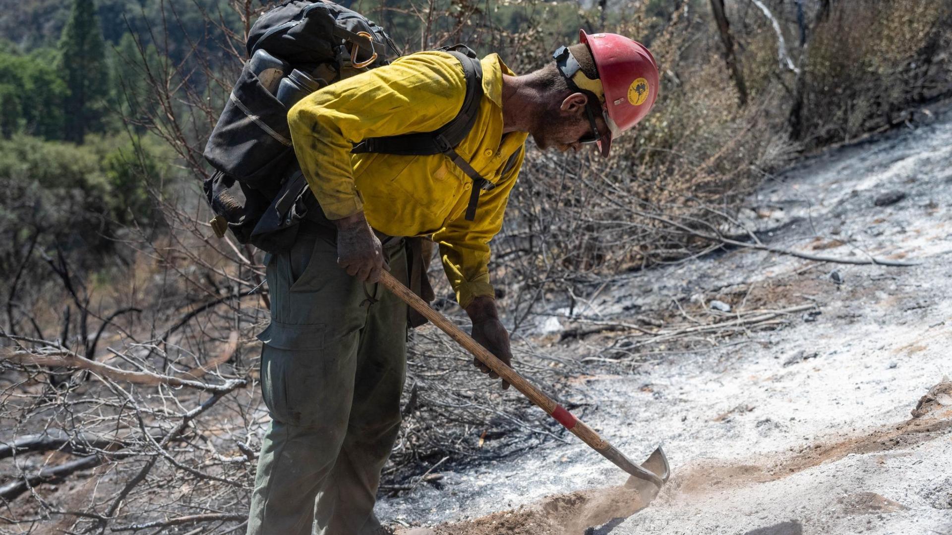 A wildland firefighter on the Midnight Sun Hotshot crew checks for hot spots on an active fireline. Photo from the Coffee Pot Fire on Inciweb.  