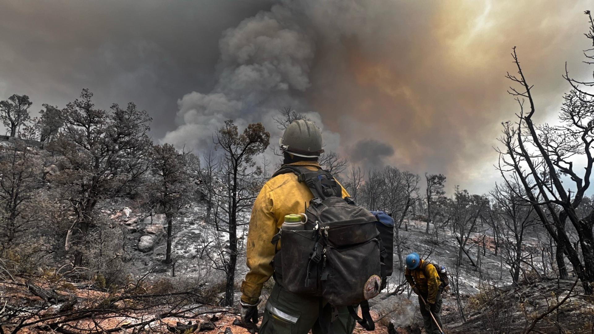 A wildland firefighter stands in front of a smoke column on a wildfire. 