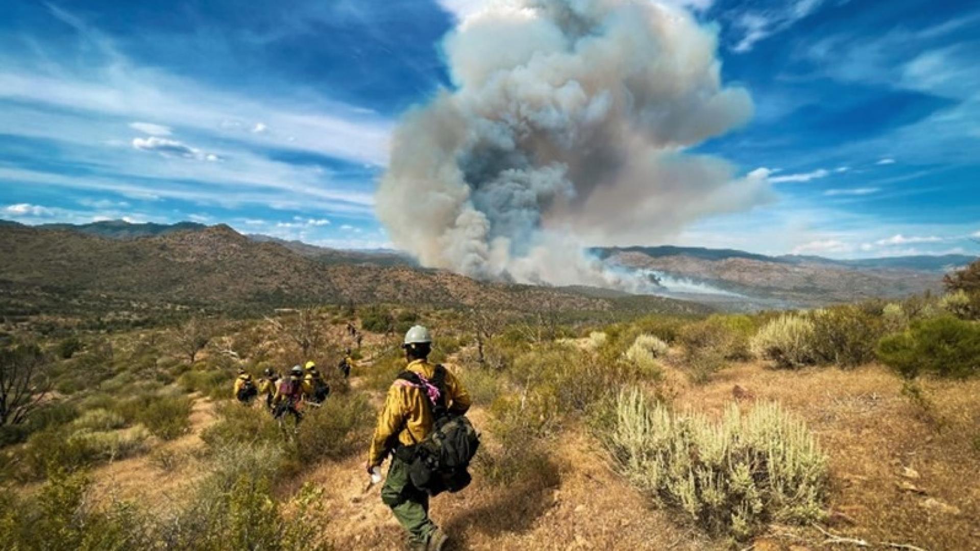 A federal wildland firefighter in a field trailing behind four colleagues.  In the background is a cloud of smoke.