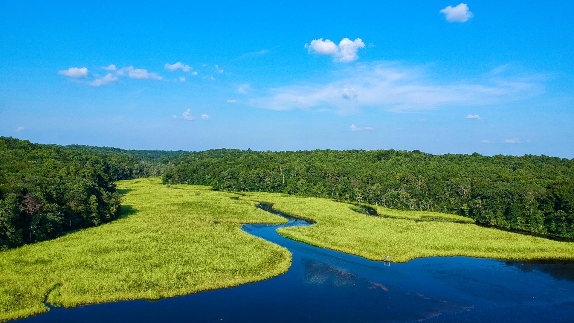 Aerial view Wetland Ecosystem. 