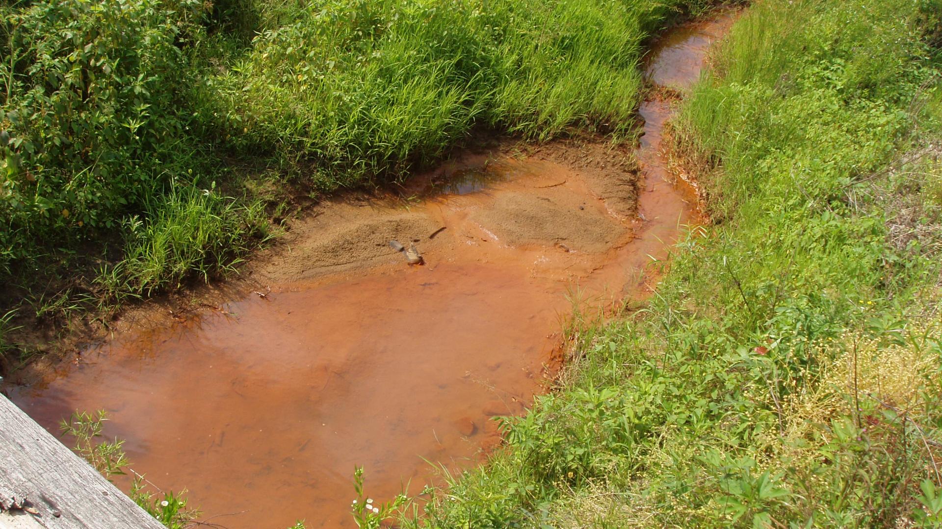 Acorn Fork Creek 