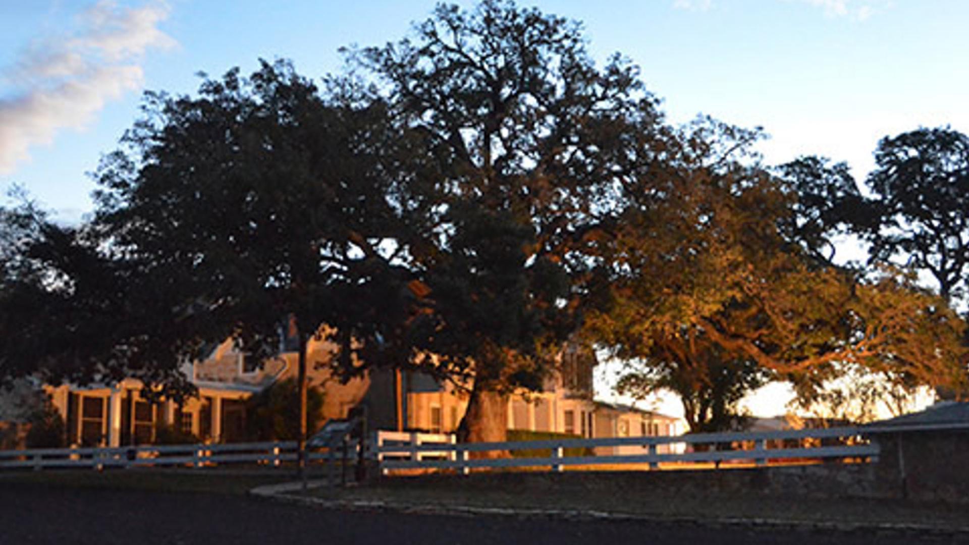 Texas White House at Sunset