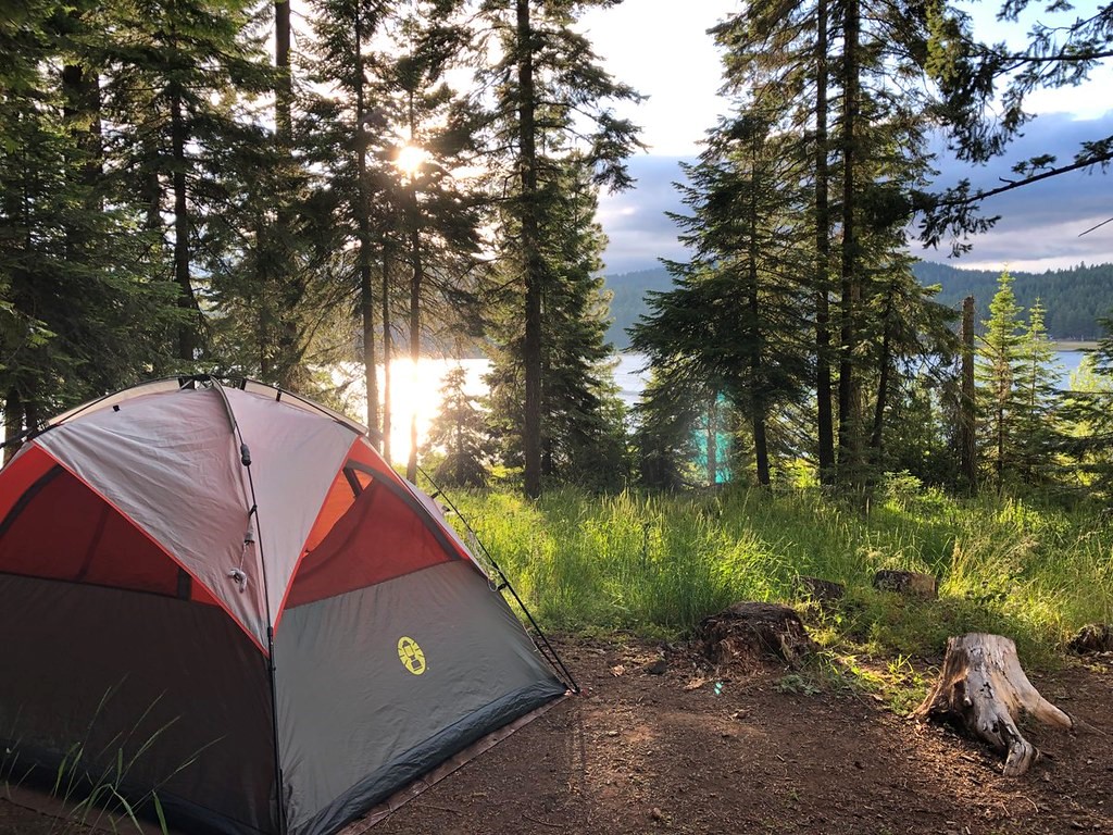 Campsite with tree-lined lake in the background, 