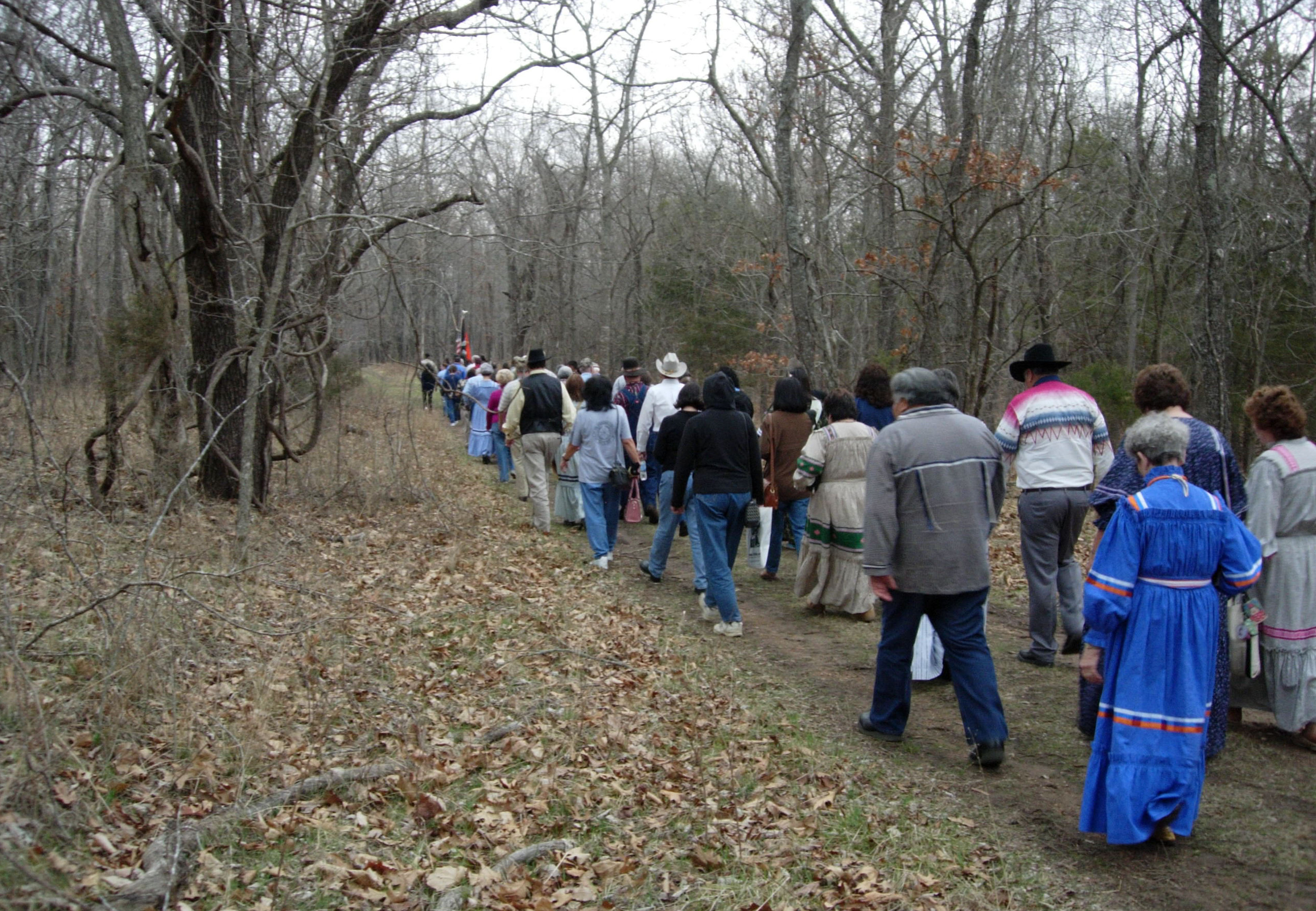 A long line of people walking down a trail through a forest.